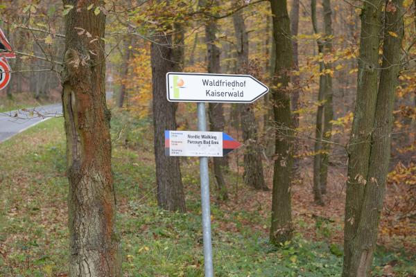 Die Thüringer Landesregierung will das Bestattungsgetz ändernEs geht darum, private Verwaltungshelfer zuzulassen, die dann in Trägerschaft der Kommune / Kirche Friedhöfe eröffnen und betreiben - natürlich geht es hier im Moment um Urnenwälder und als private Verwaltungshelfer kommen in erster Linie die Friedwald GmbH und die Ruheforst GmbH in Betracht - auch wenn dies immer negiert wird. Der Bundesverband hat letzte Woche gemeinsam mit dem Landesverband in der öffentlichen Anhörung des Innenausschusses die Position der Steinmetze vertreten - leider scheint die rot-rote Landesregierung hier schon recht festgefahren zu sein. Man will einfach nicht verstehen, dass man mit diesem System unser hoheitliches Friedhofssystem unterwandert und somit den Friedhof teurer macht. Man spricht immer von einem Bürgerwillen! Schade, dass gerade die Politik das eigene öffentliche Gemeinwesen und die entsprechenden Strukturen so unterwandert. Der Bundesverband lehnt eine schleichende Privatisierung von Friedhöfen ab - denn nichts anderes wird hier getan: Die privaten Verwaltungshelfer verdienen Geld und der Träger des Friedhöfe muss