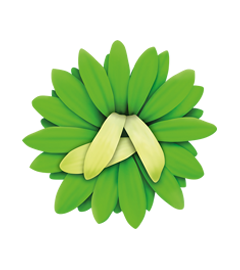LIV ThüringenDer LIV Thüringen wird sich in diesem Jahr aktiv mit verschiedenen Veranstaltungen, Workshops, offenen Werkstätten der Innungsbetriebe und Präsentationen auf der Landesgartenschau 2017 in Apolda beteiligen.
Folgende Termine möchten wir bekanntgeben und alle Innungsbetriebe zur aktiven Mitgestaltung aufrufen. logoPadded_761408.png